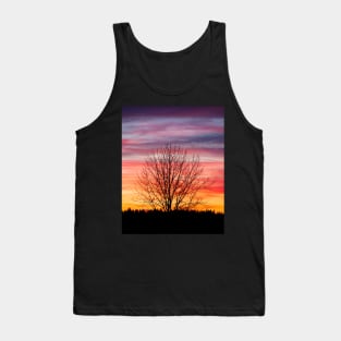 Tree silhouette and beautiful vibrant sunset clouds Tank Top